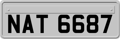 NAT6687