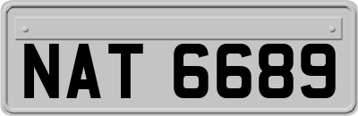 NAT6689