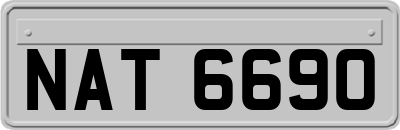 NAT6690