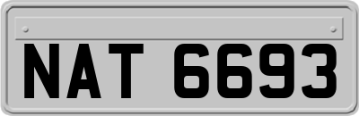 NAT6693