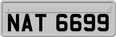 NAT6699