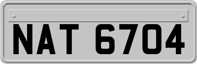 NAT6704