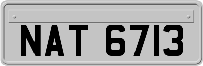 NAT6713