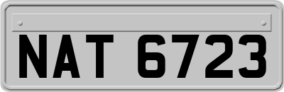 NAT6723