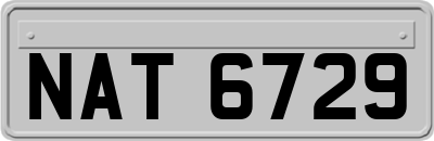 NAT6729