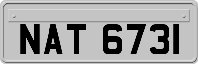 NAT6731