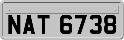 NAT6738