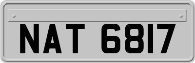 NAT6817