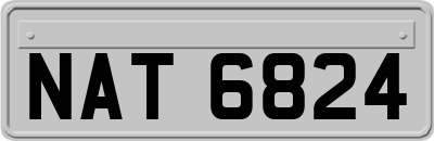 NAT6824