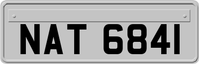 NAT6841