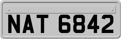 NAT6842