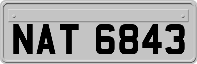 NAT6843