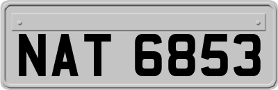 NAT6853