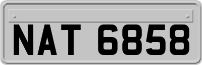 NAT6858