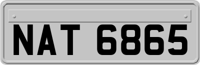 NAT6865