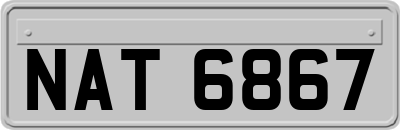 NAT6867