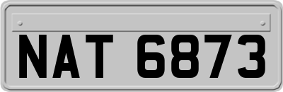 NAT6873