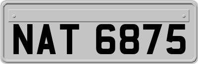 NAT6875