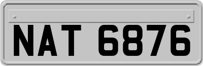 NAT6876