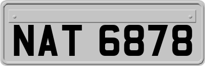 NAT6878