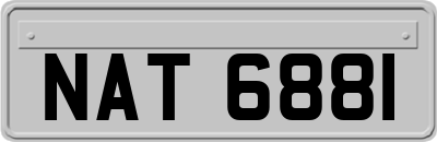 NAT6881