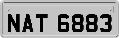 NAT6883