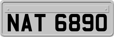 NAT6890