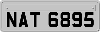 NAT6895