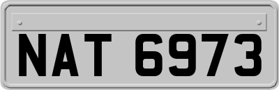 NAT6973