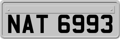 NAT6993