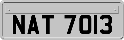 NAT7013