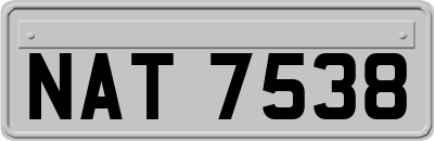 NAT7538