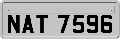 NAT7596