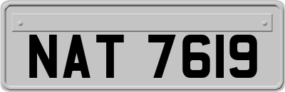 NAT7619