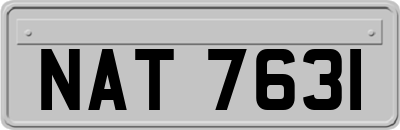 NAT7631