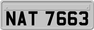 NAT7663