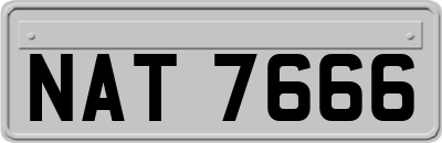 NAT7666