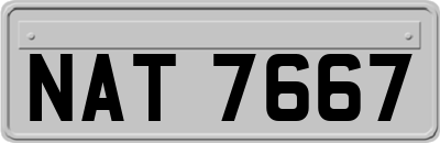 NAT7667