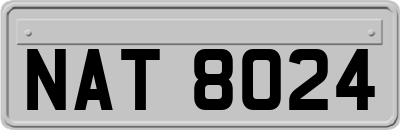 NAT8024