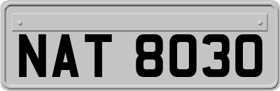 NAT8030