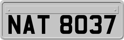 NAT8037