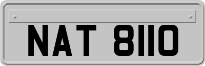 NAT8110