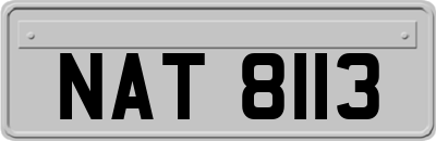 NAT8113