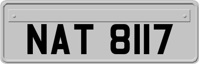 NAT8117
