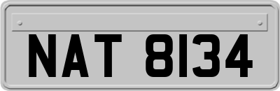 NAT8134