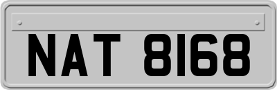 NAT8168