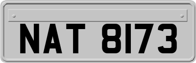 NAT8173