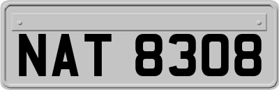 NAT8308