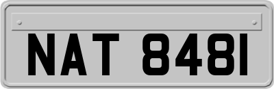 NAT8481