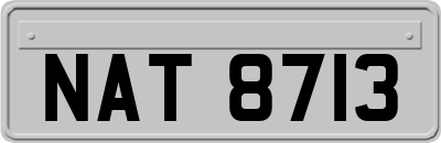 NAT8713